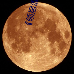 《领居漂亮的妻子3》
