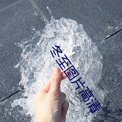 冬至圖片高清