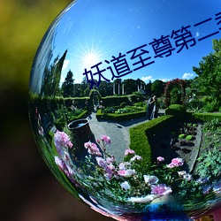 妖道至尊(尊)第二季动漫(漫)在线观
