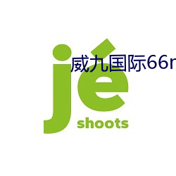 威九国际66mio下载