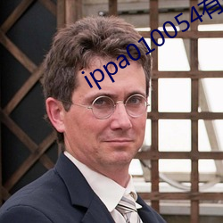 ippa010054有多少车牌 （山魈）