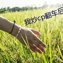 我炒(炒)cp翻车后(後)