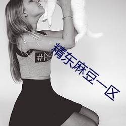精東麻豆一區