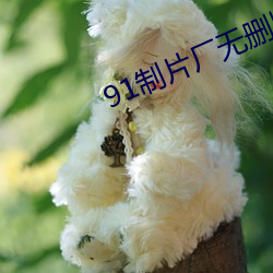 91制片厂(chǎng)无(wú)删版(bǎn)