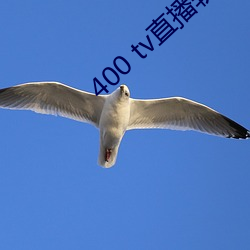 400 tv直播软(ruǎn)件