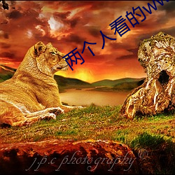 两个人(rn)看的www高清(qng)免费资