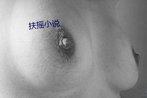 扶摇小说