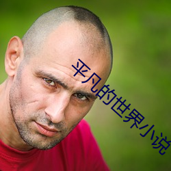 平凡的世界小說