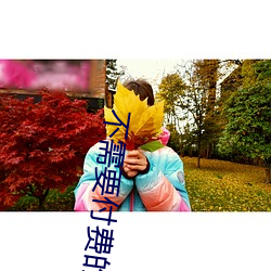 不需要付费的app网站 燕金募秀）