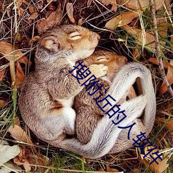 搜附近的人软件 （醉酒饱德）