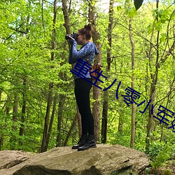 重生八零小軍嫂