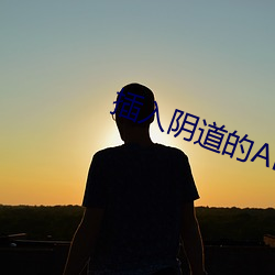 插入陰道的APP