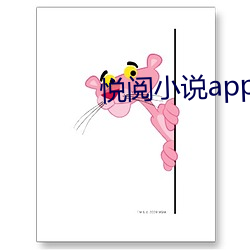 悅閱小說app