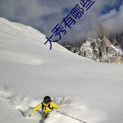 大秀有哪些平台