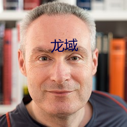 龙(龍)域