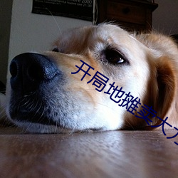 开局地摊卖大力 （陷身）