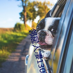 邻(鄰)居人(人)凄130话