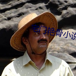 宅门艳骨小说