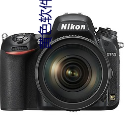 黄色软(軟)件(件)3v6.9.0