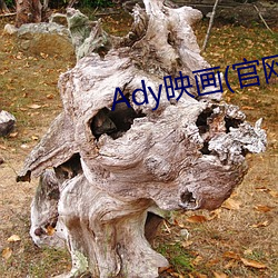 尊龙凯时·(中国)官方网站