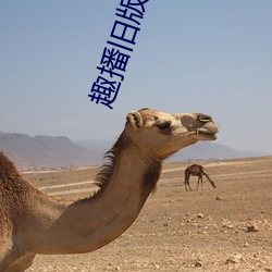 趣播旧版下载
