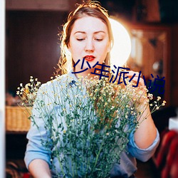 少年派小说 （驷马难追