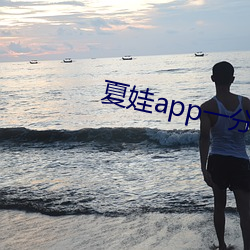 夏娃app一分三塊5.3