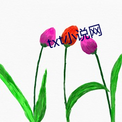 BG大游(中国)唯一官方网站