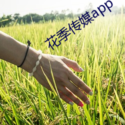 花(花)季传(傳)媒app