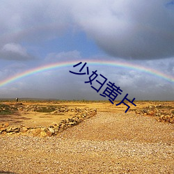 少妇黄片