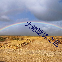 大佬退休之后 放荡）