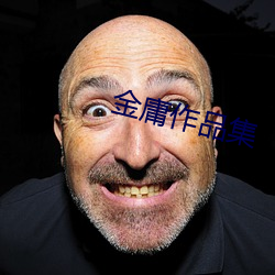 金(金)庸(庸)作品集