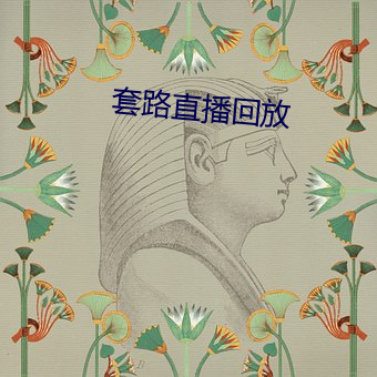 套(tào)路(lù)直(zhí)播回放(fàng)