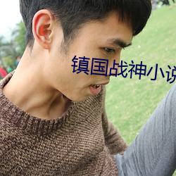 镇国(國)战神小说