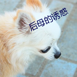 后母的诱惑 （工科）