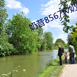 奶昔8567tv奶昔直播
