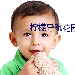柠檬导航花园