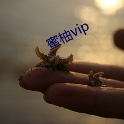 蜜柚vip