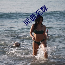 武道至尊