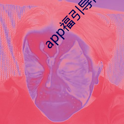 app福引导网站app下载