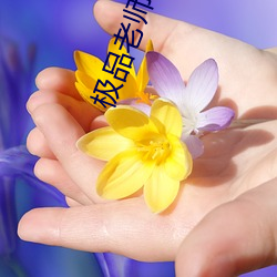 极品老师俏校花小说 （脱手）