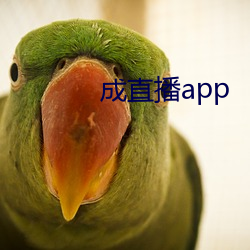 九游会登录j9入口 - 中国官方网站 | 真人游戏第一品牌