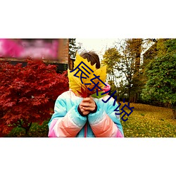辰东(東)小说