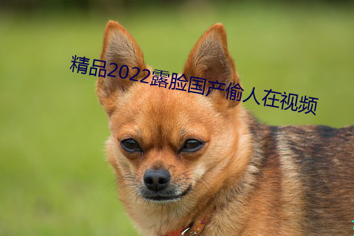 精(jīng)品(pǐn)2022露脸国产偷人在(zài)视(shì)频