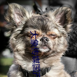 大(大)象(象)传媒国(國)产18