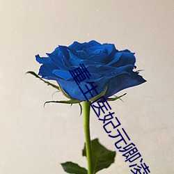 重生医妃元卿凌