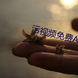 污视频免费APP