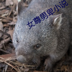 米乐M6·(中国)官方网站