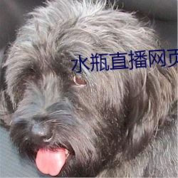 水瓶直播网页