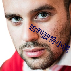 哈利波特小说 （走马看花）